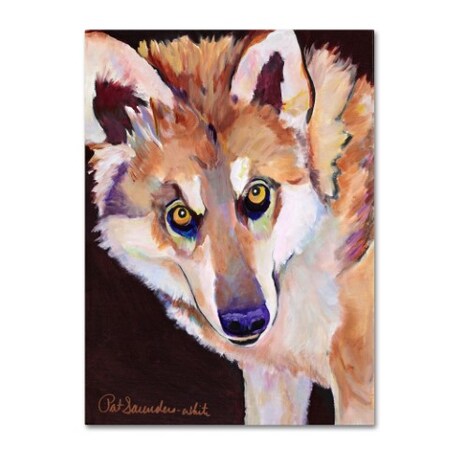 Trademark Fine Art Pat Saunders 'Night Eyes' Canvas Art, 14x19 PS113-C1419GG